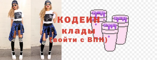 прущий лед Алзамай