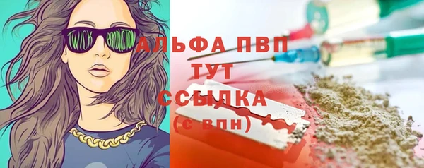 прущий лед Алзамай