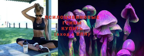 ECSTASY Алексин