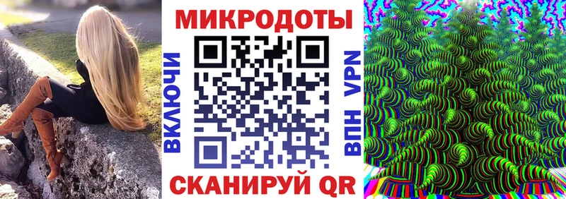 Галлюциногенные грибы Psilocybine cubensis Задонск